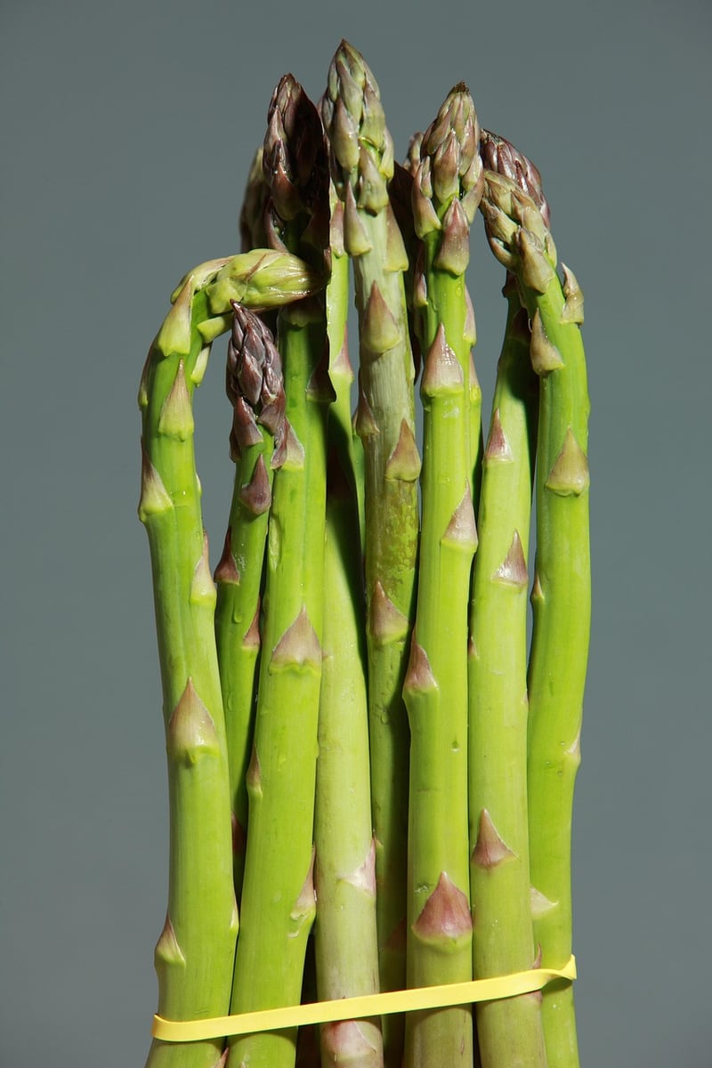 Spring Salad